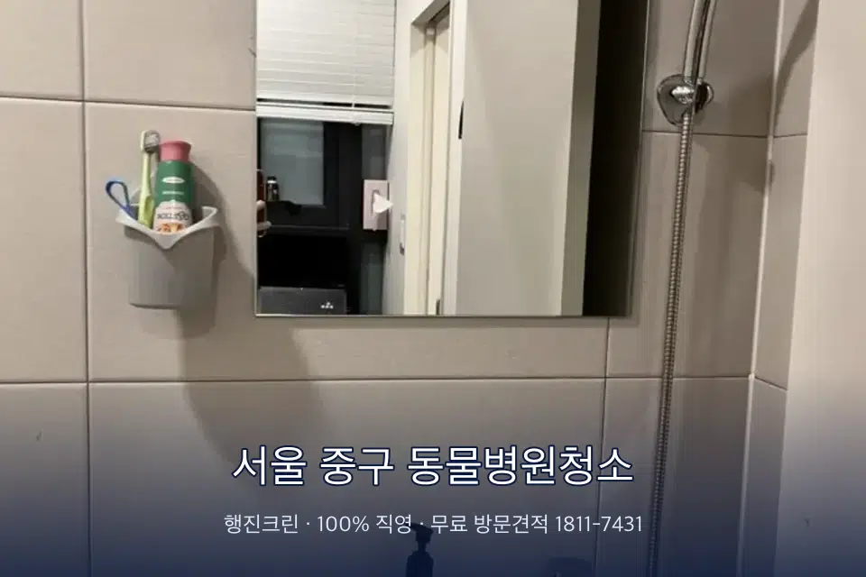 서울 중구 동물병원청소 병원 화장실 세면대 살균