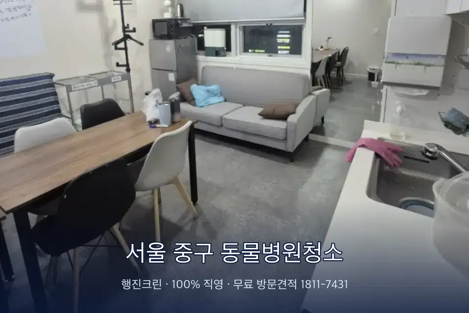 서울 중구 동물병원청소 병원 휴게 공간 의자 소독