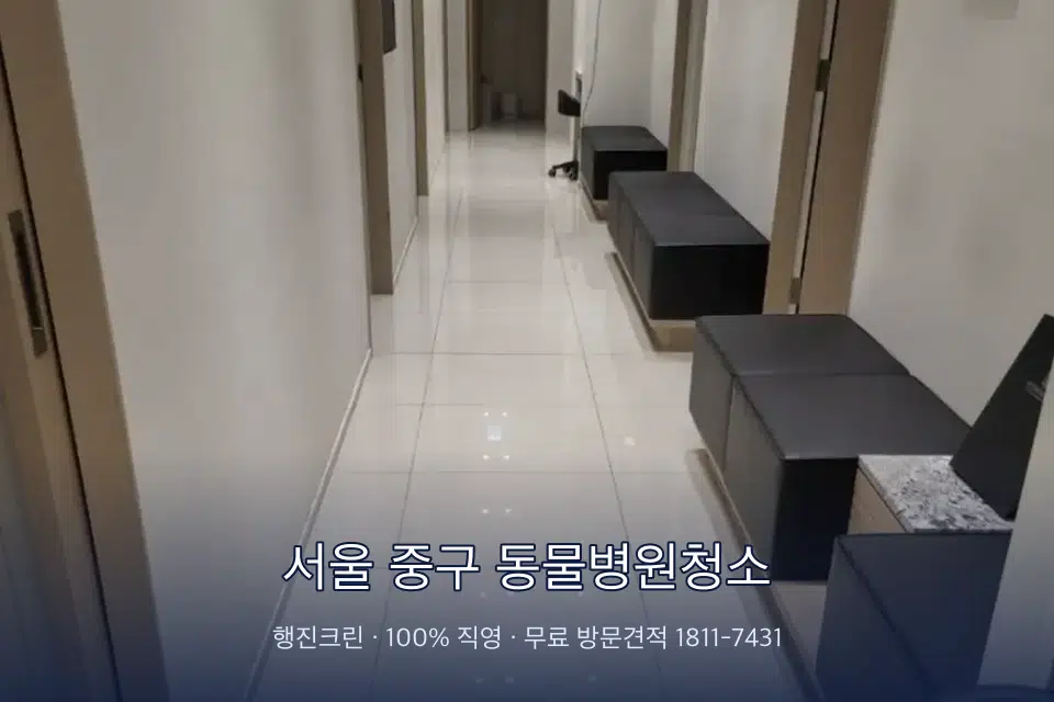 서울 중구 동물병원청소 병원 복도 바닥을 닦는 청소 작업자
